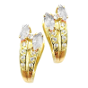 Gold earrings