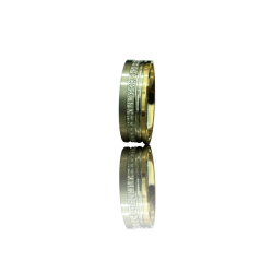 Aliança ouro bicolor
